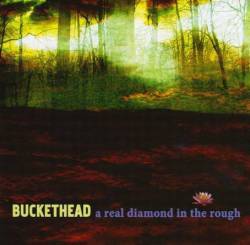 Buckethead : A Real Diamond in the Rough